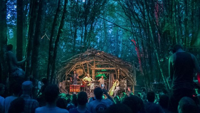 Pickathon woods egax4v