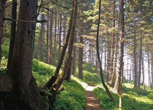8 13 state parks father l2l7y8