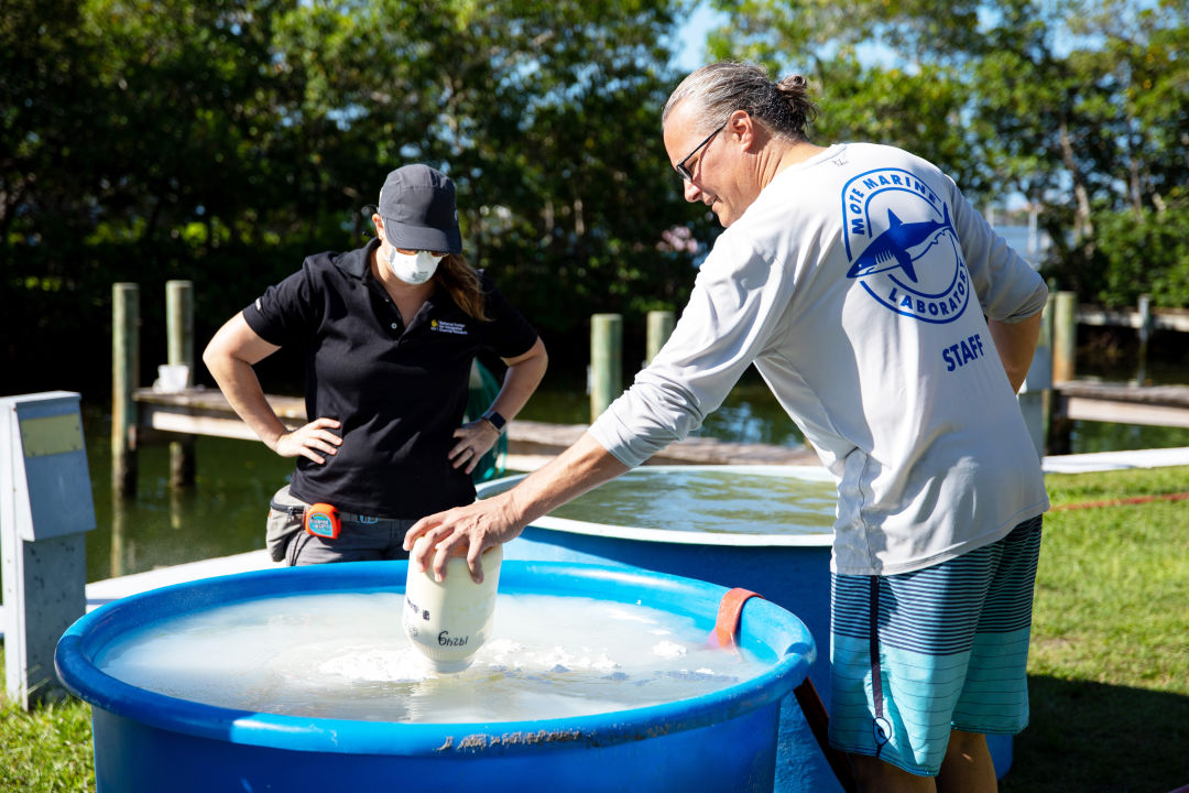 Mote staffers create a slurry of seawater and clay particles in the hopes that the resulting slurry will kill and bury red tide cells.