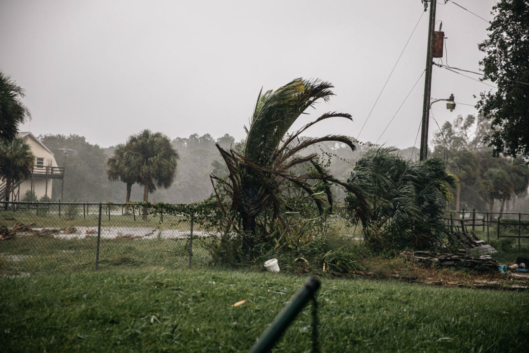 It's "wet and wild" in South Venice, according to deputy art director Hannah Phillips.