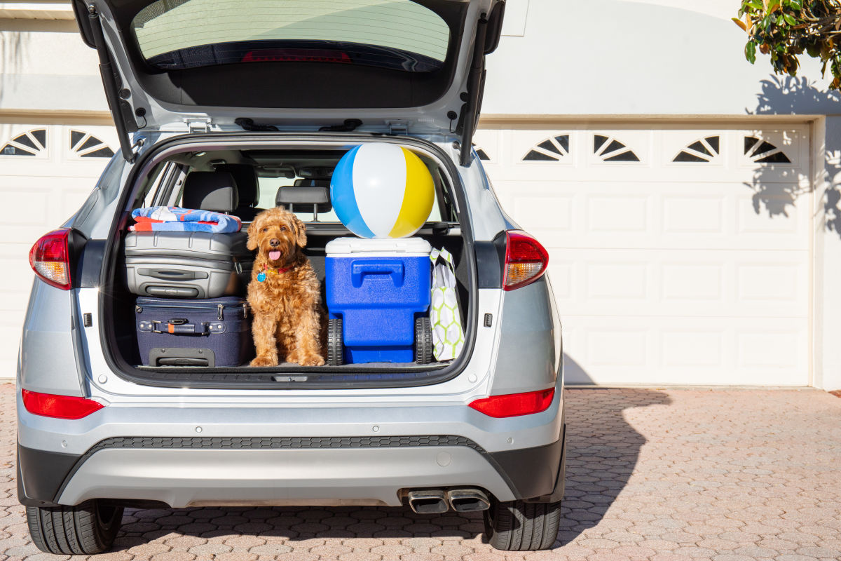 What to Pack for a Road Trip Out of Houston - Vimarsana News