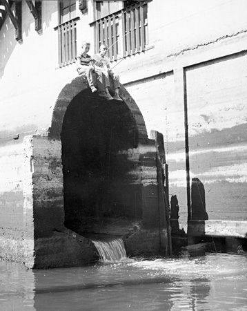 1962 cn 018142 pollution in p rozoab