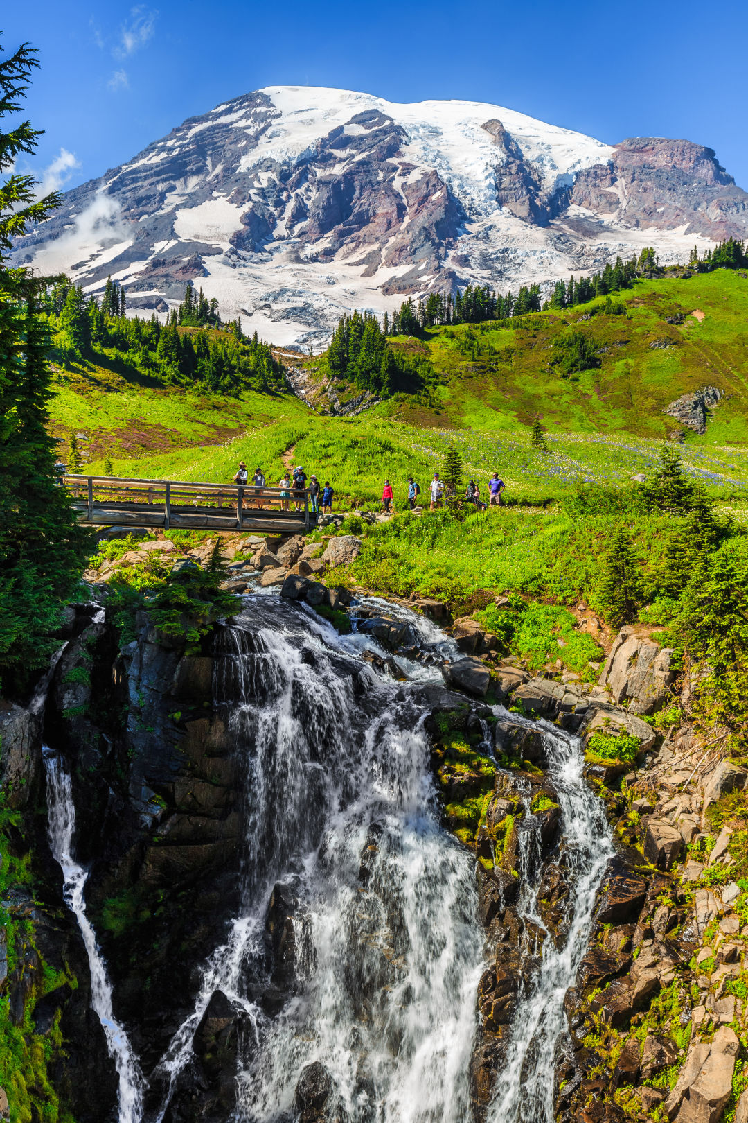 How to Camp, Hike, and Sightsee at Mount Rainier National Park