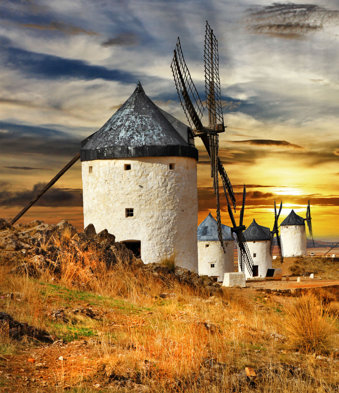 Tiefland by eugen d albert wl0u7s