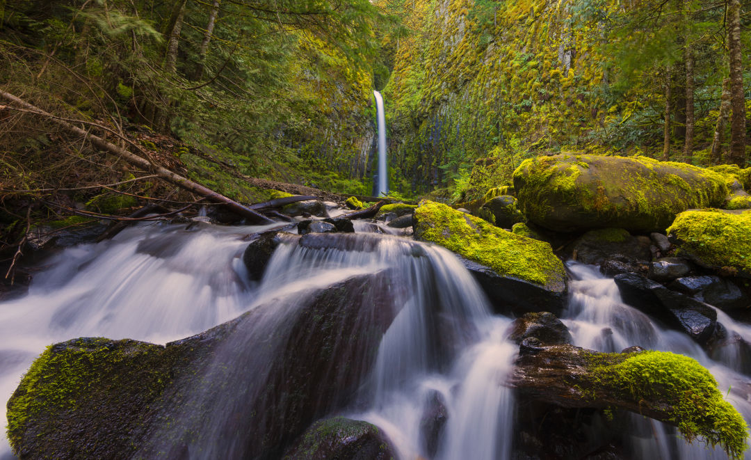 shutterstock_268318139_ipdsga Where to See Oregon's Most Spectacular Waterfalls
