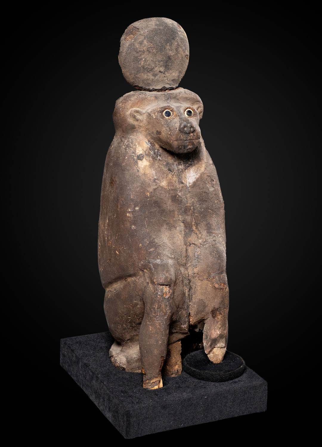 Baboon coffin