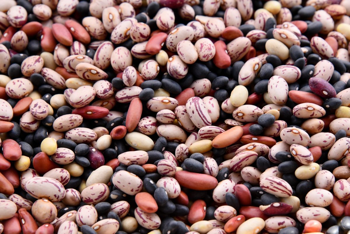 Here S What To Make With All The Beans You Bought Seattle Seattle Met