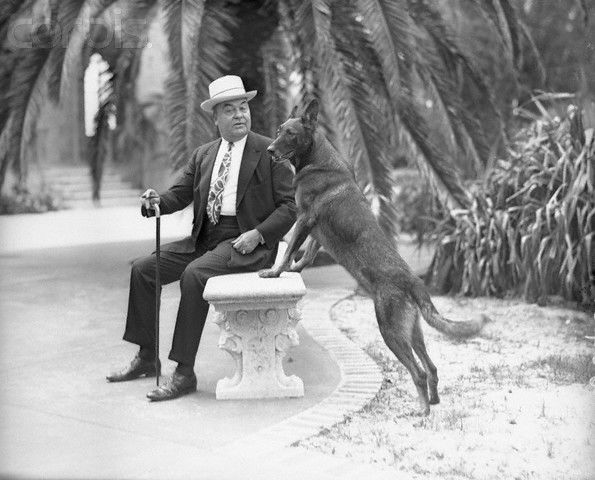 Jr dog on seat qarp0v