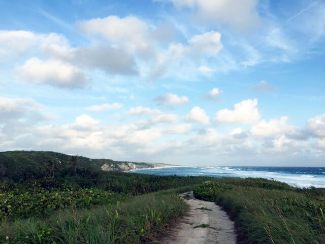 Quiet Surfer's Beach