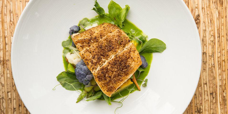 Fresh bistro fish dirgxp