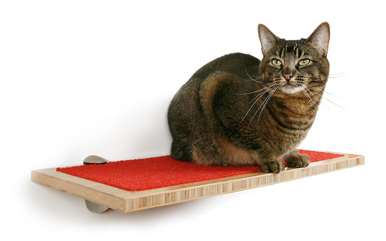 0712 pg043 mud catshelf ku8xy7