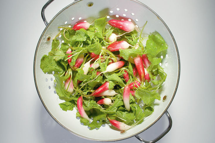 Radishes jwsloy