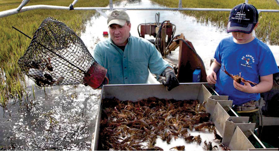 Where Should Your Crawfish Be Sourced?