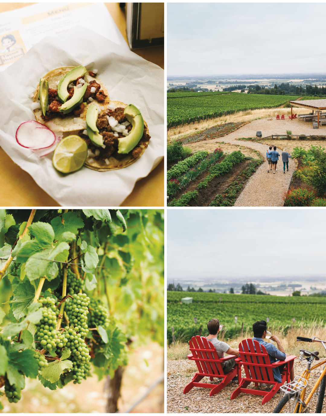1017 wine country escapes eola amity collage 2 inacyx