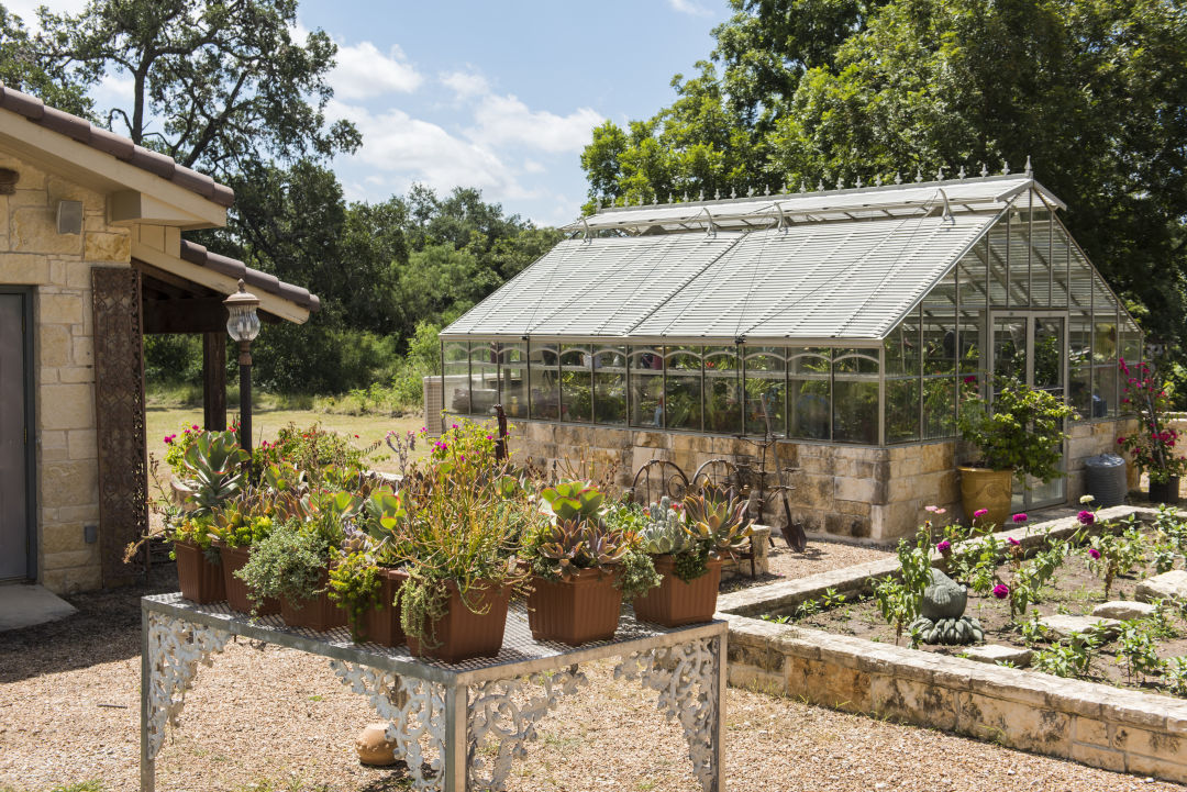Laurel tree greenhouse lvrplo