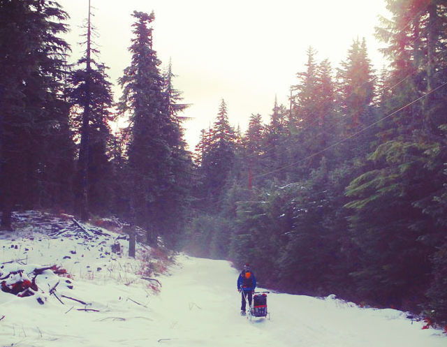 Skiing jvxqr6