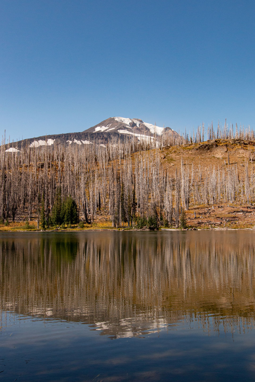 Mount Adams Recreation Area