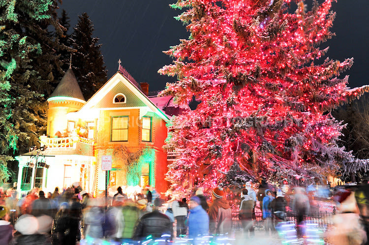 Sardyhousetreelighting mjkipi
