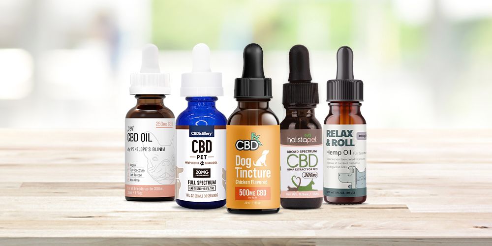 Best CBD Oil for Dogs in 2022 - Top 7 Brands & Buyer's Guide ...
