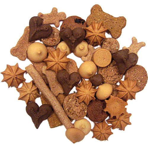 Park city winter 2013 mountain moguls doggy business cookies kv3jff