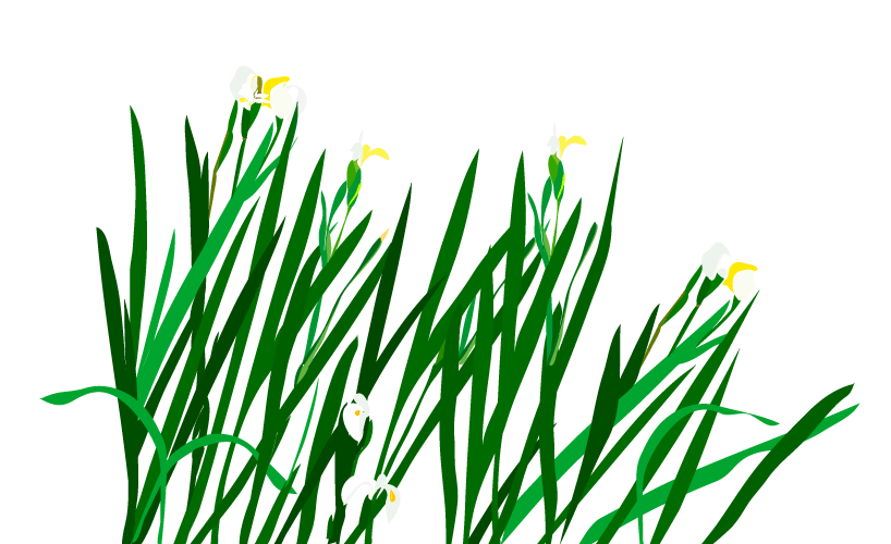 Plant illustration g5mhyk