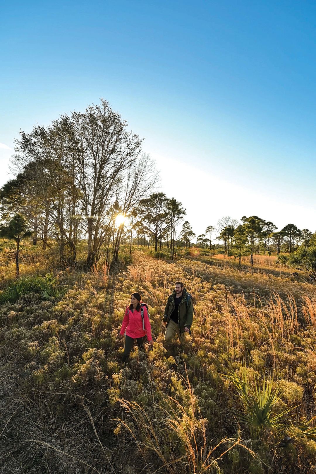 Hikers on the trail from the preserve to Oscar Scherer State Park.