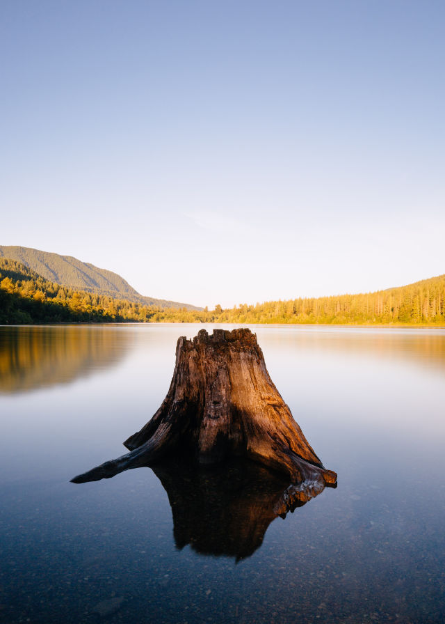 Hiking Is the Safest Way to Have Fun This Summer