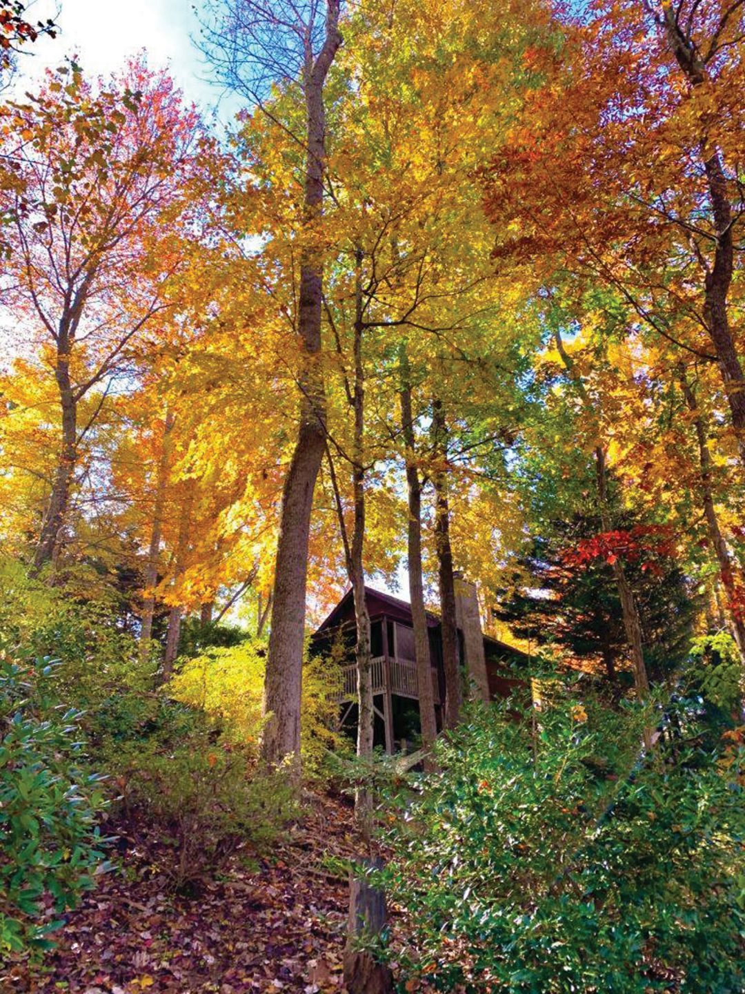 Get outdoors at Asheville Cabins of Willow Winds, a lakeside resort.