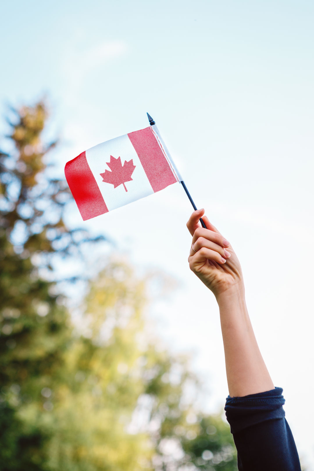 woman holding up a Canadian flag.