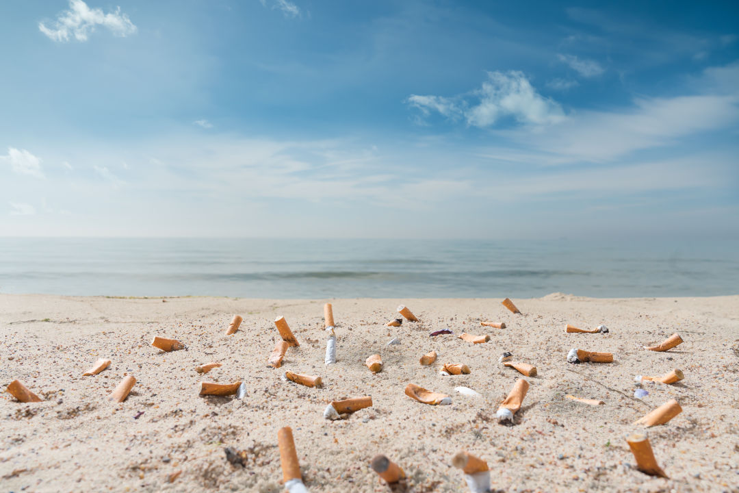 cigarette butts littered in the sand at a beach.