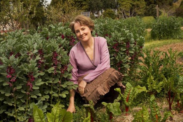Alice.waters.esy 1 amuqdt