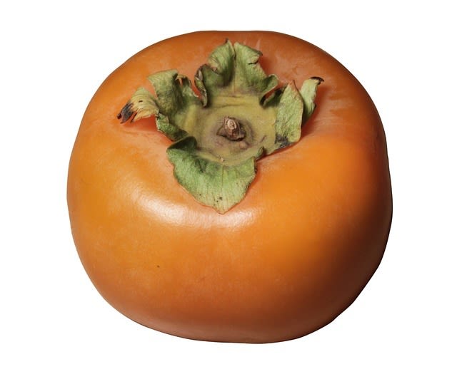 Persimmon photo 2 from pixabay xbscxx