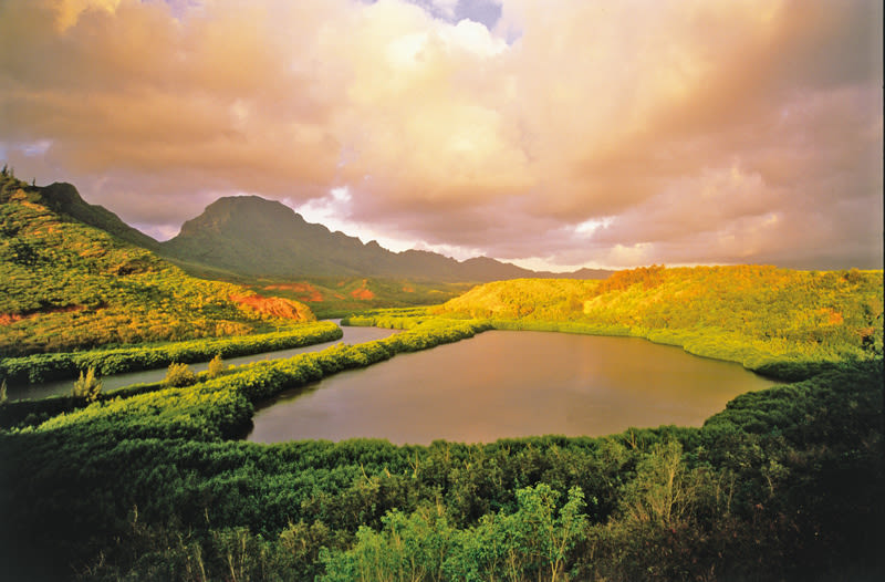 Wintertime is the Right Time to Head to Kauai
