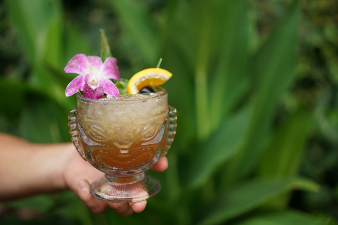 The Toasted Coconut Aims to Be Your Tropical Playground | Houstonia