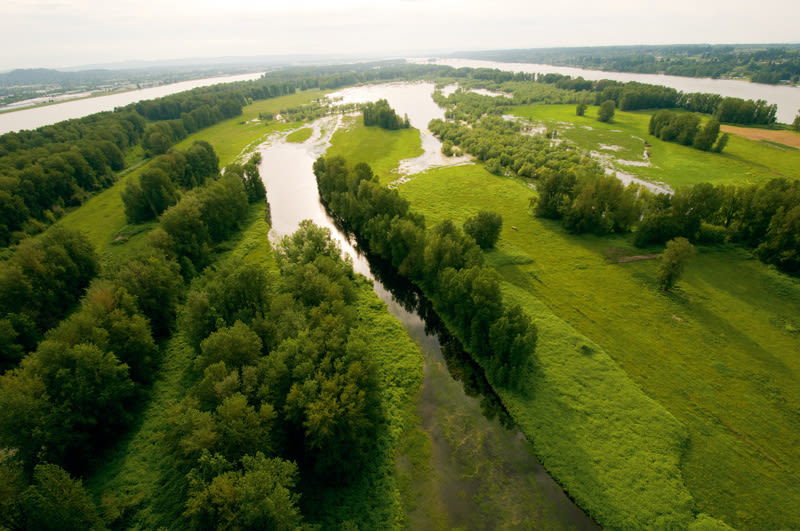 Government island nrbrhl