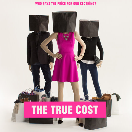 The true cost hvs0d7