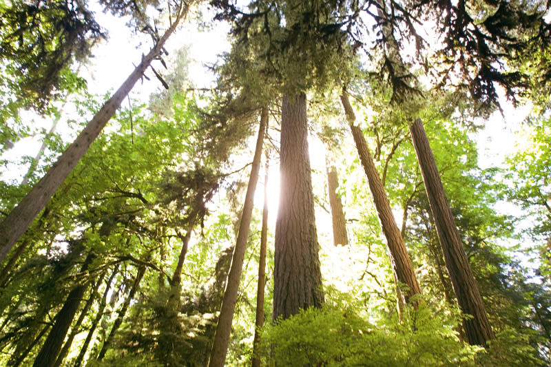 Clackamas mount talbert nature park tgyafp