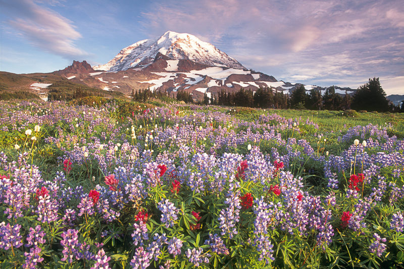 Hike And Bike Central Cascades Seattle Met