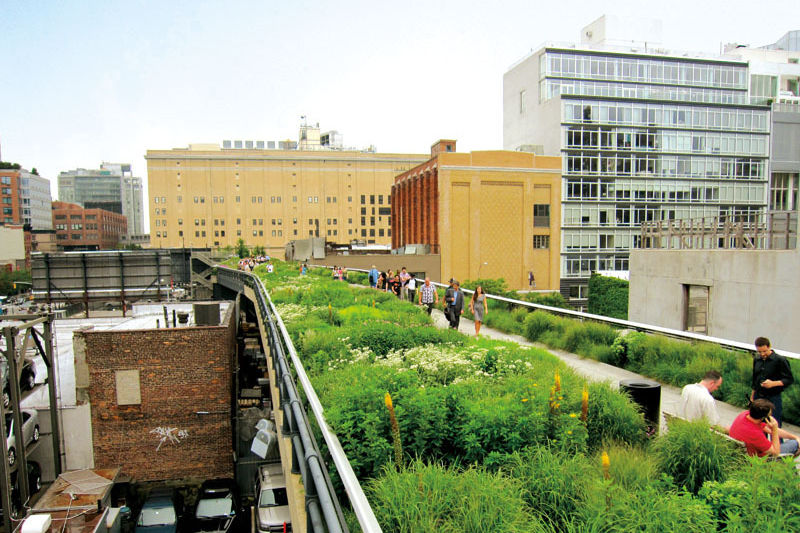 The History of High Line - Gardening