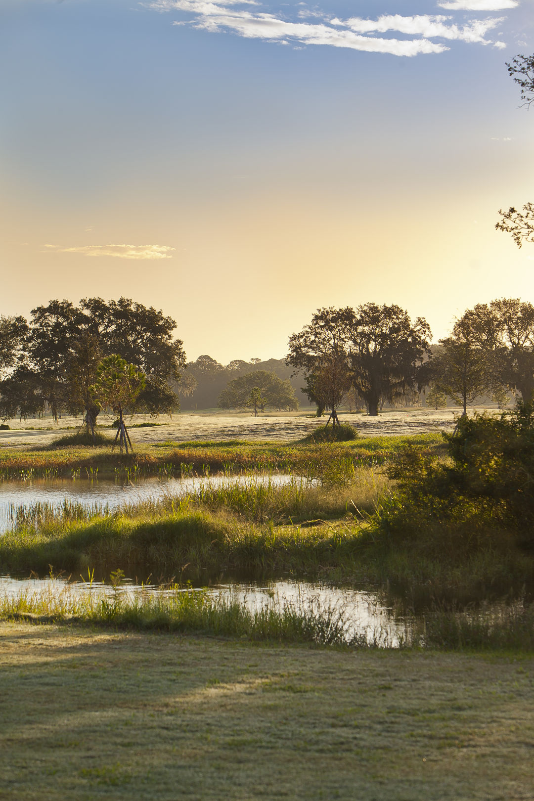 Revamped Bob Jones Golf Club and Nature Park to help keep Sarasota