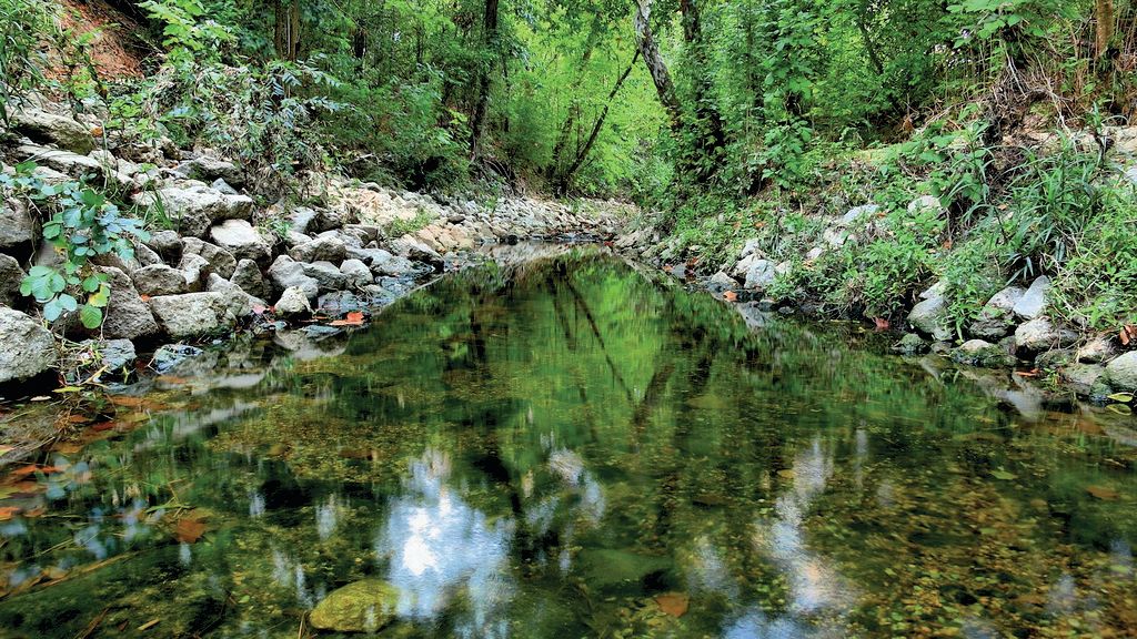 Rummel creek m5wvzj