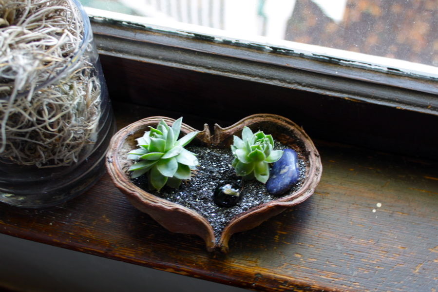 Slide Show Valentine’s Day Terrariums Portland Monthly