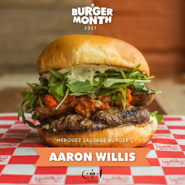 Bm17 aaron willis burger 2lr tnzhwj