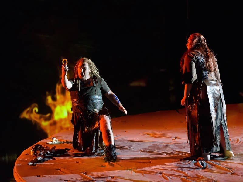 Houston grand opera gtterdmmerung simon oneill as sigfried christine goerke as brunnhilde 101131 wxjw0i