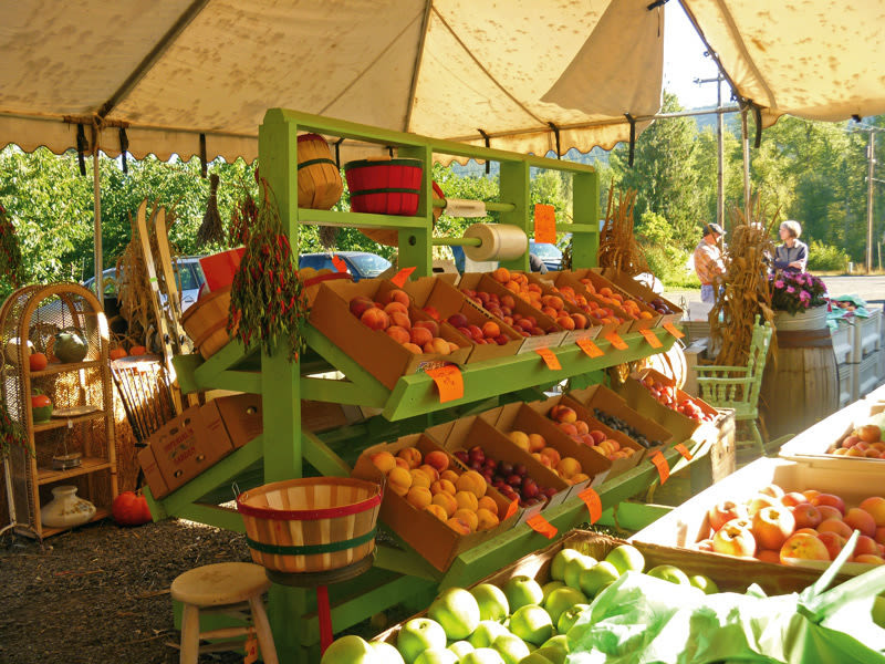 Draper girls country farm ce6j3u