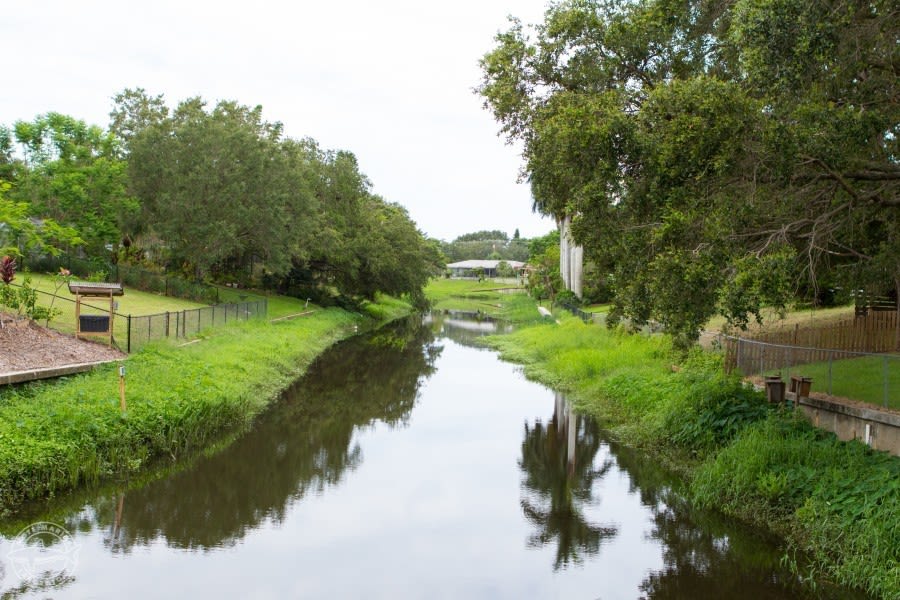 Phillipicreeksystemshoreline credit conor goulding mote marine laboratory ujkx3q