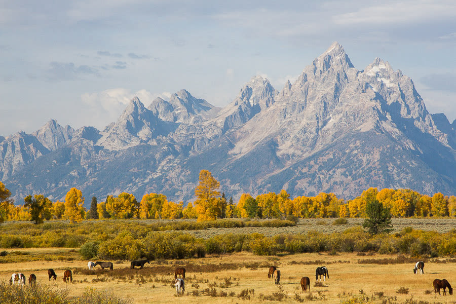 The Texan’s Guide to Vacationing in Jackson Hole, Wyoming