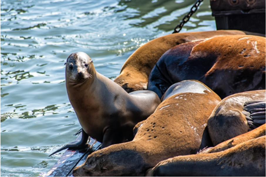 best places to visit in the oregon coast