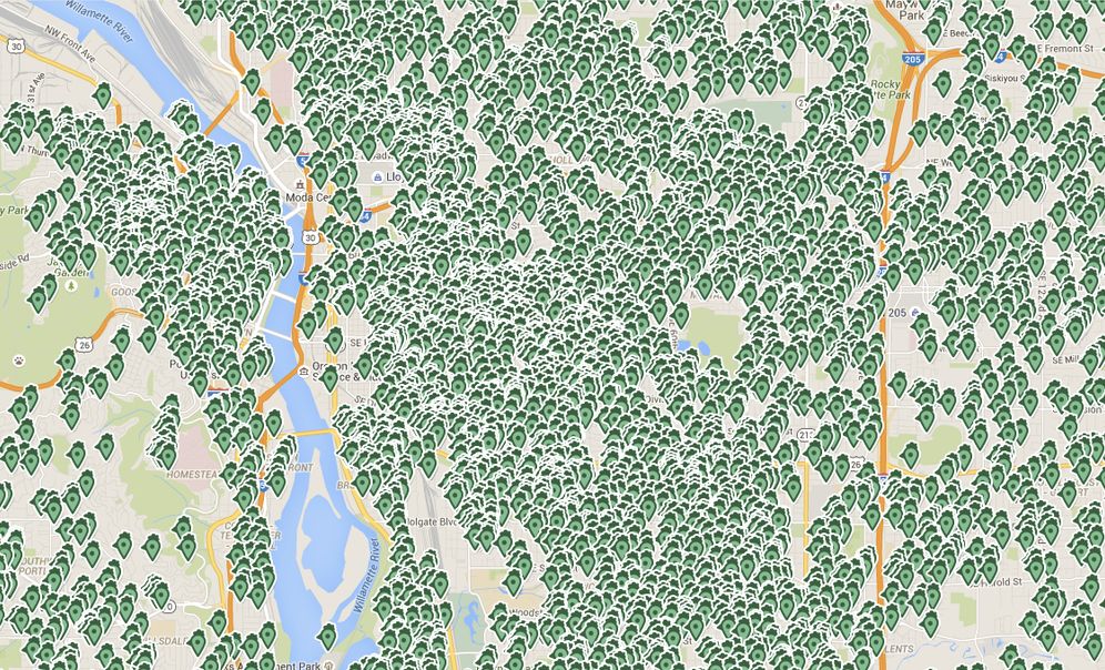 Portlandsroosterusers v4rrjv