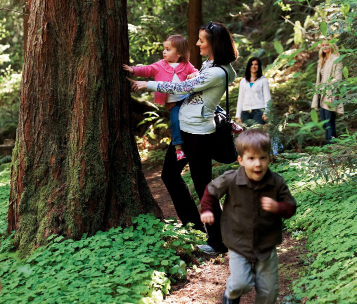 05 040 kids trail d55gs4
